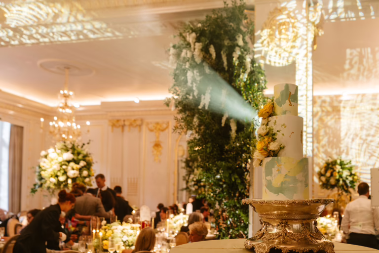 Custom Dappled lighting and wedding cake